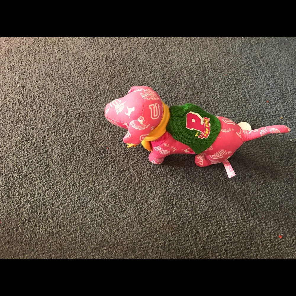 Pink vs mini dog